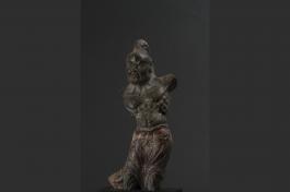 唐 力士
