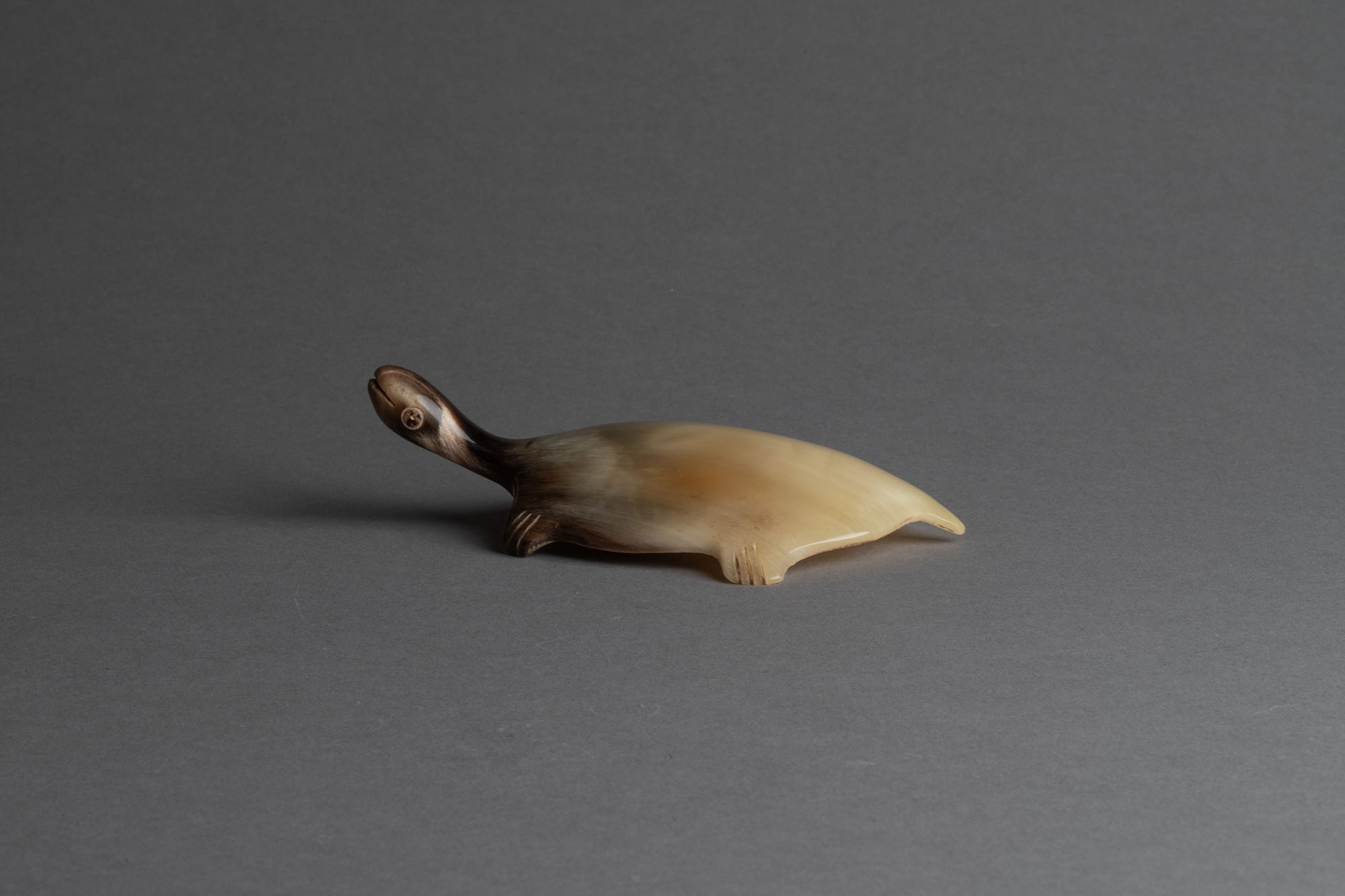 犀角龟