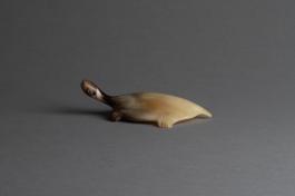 犀角龟