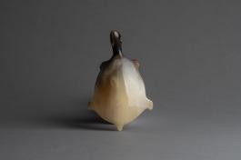 犀角龟